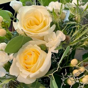 Meet your Posher, Tara